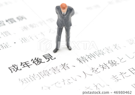 成年監護人 46980462