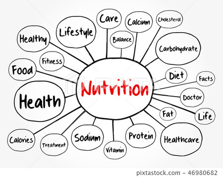 Nutrition mind map flowchart Nutrition mind map flowchart 46980682