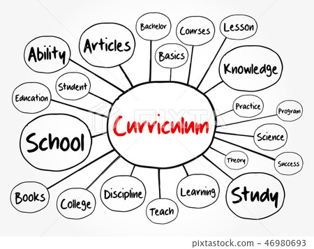 Curriculum mind map flowchart Curriculum mind map flowchart 46980693