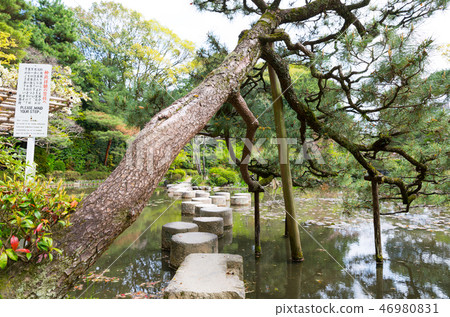 Heian Jing Jin Jin Qiao Long Bridge (Kyoto Prefecture Sakyo-ku, Kyoto Prefecture) April 2017 Heian Jing Jin Jin Qiao Long Bridge (Kyoto Prefecture Sakyo-ku, Kyoto Prefecture) April 2017 46980831