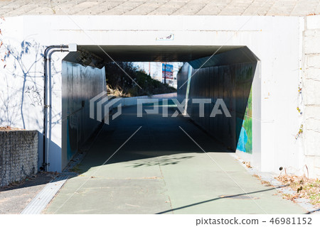 Tunnel under the elevated 46981152