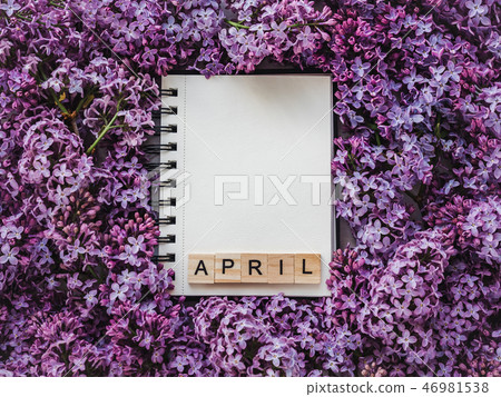 Sketchbook, blank page and bright lilac flowers 46981538