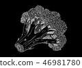 Black picture of broccoli 46981780