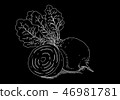 Black picture of beet 46981781