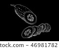 Black picture of cucumber 46981782
