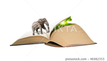 Elephant walking on book pages to hidden nature 46982353
