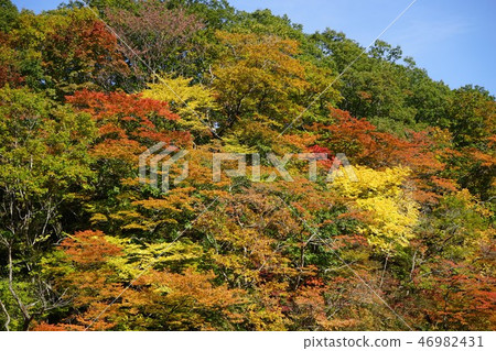 Fall of Iriba dam 46982431