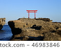 Hakuto Torii 46983846