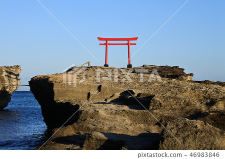 Hakuto Torii Hakuto Torii 46983846
