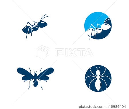Ant vector illustration design Ant vector illustration design 46984404