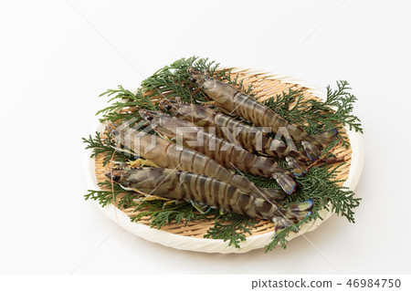 蝦蝦 蝦蝦 46984750