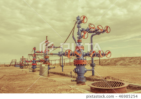 Wellheads with valve armature on a oil field. 46985254