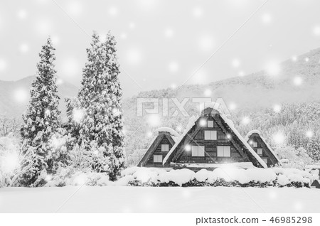 [Gifu Prefecture] Winter Shirakawa-go black and white photo 46985298