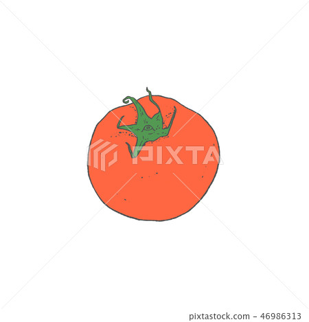 番茄插畫 46986313