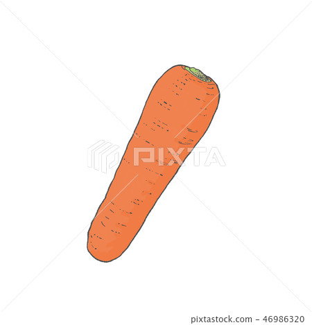 Carrots illustration Carrots illustration 46986320