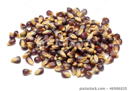 Heap of purple corn on white background 46986820