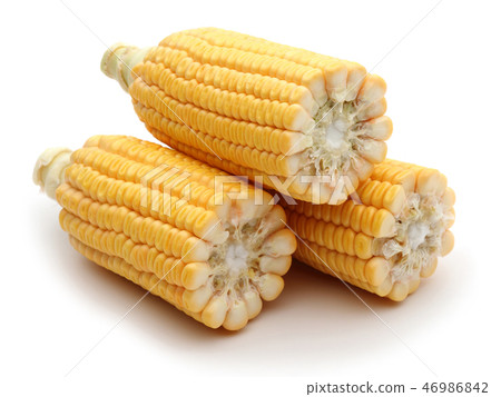Fresh corn on white background Fresh corn on white background 46986842