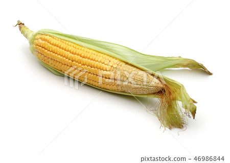 Fresh corn on white background 46986844