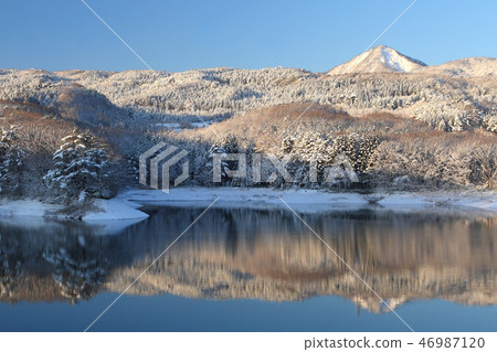 Winter sunny morning winter morning 46987120