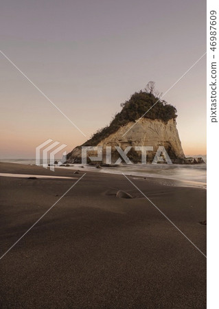 Slightly early on the island of Sparrow Island, Maruiwa (Chiba · January) 46987609