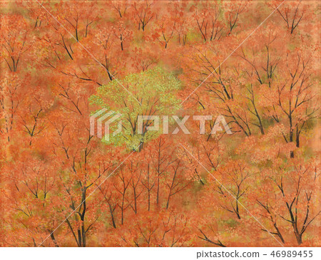 Autumn leaves 46989455