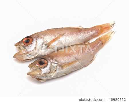 Nodogro乾魚 Nodogro乾魚 46989532