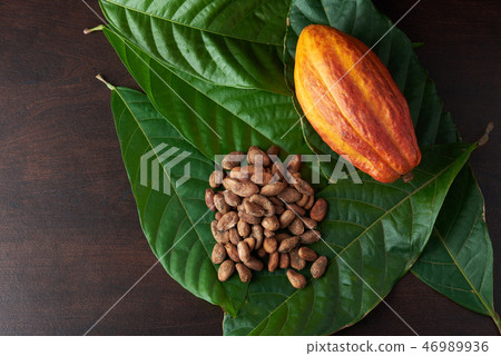 Chocolate harvest concept 46989936