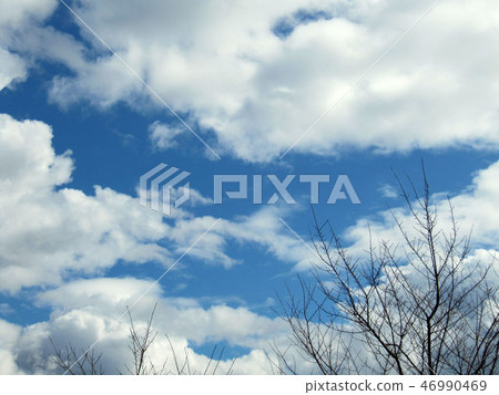 風景大自然 46990469