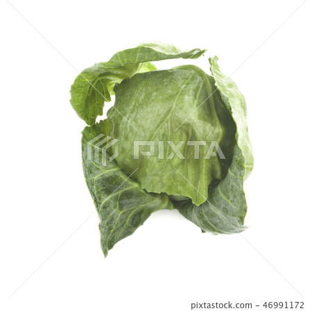 cabbage isolated on white background 46991172