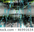 CG & Nature Art Underwater Landscape 46991634