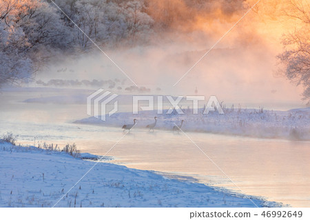 Tancho fantasy world Tsurui Village Otowa Bridge 46992649