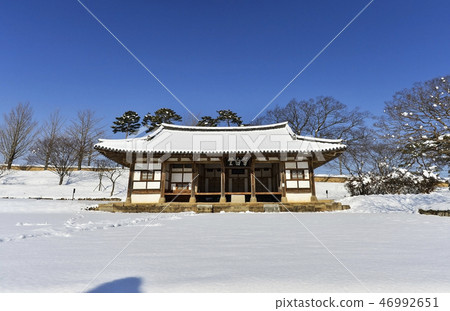 雪,軍丹東,Moojang-eupseong,高敞郡,全北 雪,軍丹東,Moojang-eupseong,高敞郡,全北 46992651