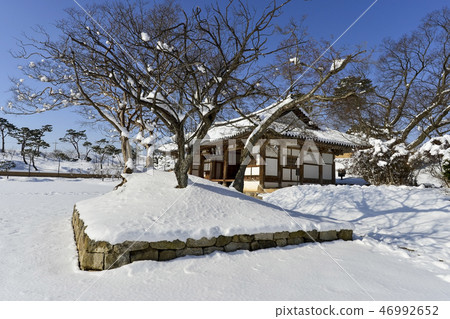 雪,軍丹東,Moojang-eupseong,高敞郡,全北 雪,軍丹東,Moojang-eupseong,高敞郡,全北 46992652