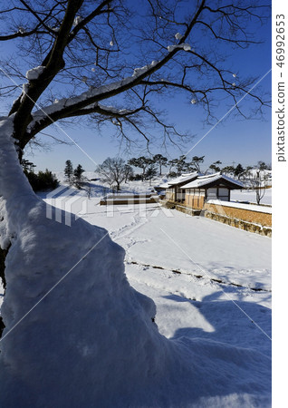 雪,軍丹東,Moojang-eupseong,高敞郡,全北 雪,軍丹東,Moojang-eupseong,高敞郡,全北 46992653