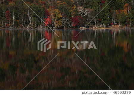 Onneto Autumn (Hokkaido) 46993289