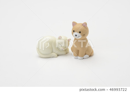 Dog and cat miniature 46993722