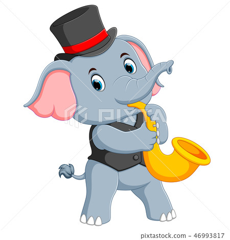 the big grey elephant uses the black hat the big grey elephant uses the black hat 46993817