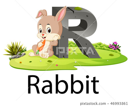 zoo animal alphabet R for Rabbit  46993861