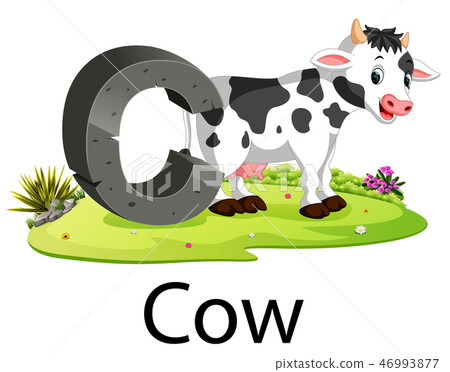 zoo animal alphabet C for cow  46993877