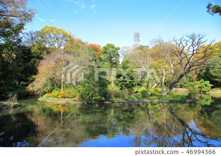 Arisugawa Palace紀念公園港區 Arisugawa Palace紀念公園港區 46994366