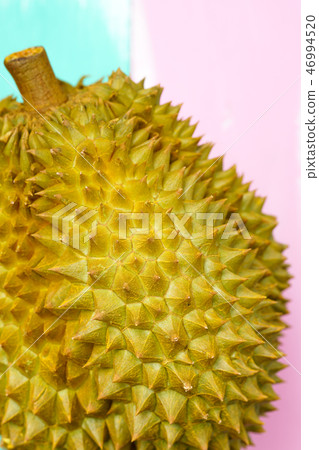 Fresh Cut Monthong Durian on colorful background Fresh Cut Monthong Durian on colorful background 46994520