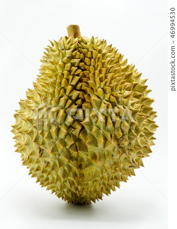 Fresh Cut Monthong Durian on white background Fresh Cut Monthong Durian on white background 46994530