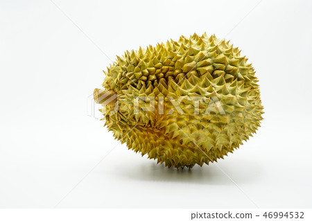 Fresh Cut Monthong Durian on white background Fresh Cut Monthong Durian on white background 46994532