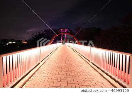 Light up of Iinokawara "split rock bridge" 46995109