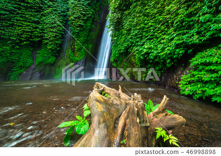 Waterfall in the tropical forest. Munduk waterfall, Bali, Indonesia 46998898