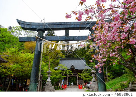 Haruna Shrine Torii 46998961
