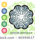 CACTUS08_Astrophytum Asterias 007 46999637
