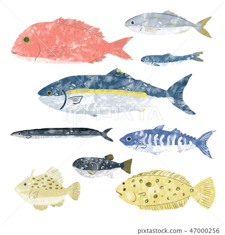 Sea creatures Fish shop 47000256