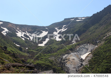 Ada Tara of Fukushima Prefecture 47000548