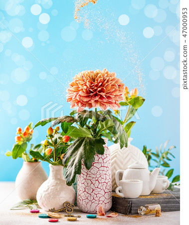 Vase with beautiful chrysanthemum flowers on light table Vase with beautiful chrysanthemum flowers on light table 47000953